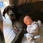 Paige DeSantis - @paige_desantis - Instagram