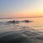 Paige Doyle - @paigedoyle339 - Instagram