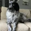 Paige Durham - @paige.durham28 - TikTok