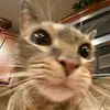 Paige Eckhardt - @paige_eckhardt1 - TikTok