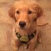 Paige Eckman - Facebook