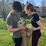 Courts spam - @porky.paige.edgar - Instagram