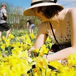 Paige Elder - @ants_and_plants - Instagram