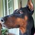 Paige Faust - Facebook