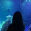 paige - @paige12fish - TikTok