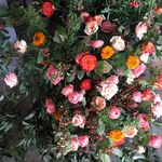 Paige Friedlander - @the.daily.gratitude - Instagram
