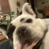 paigegee - @paigegee18 - TikTok