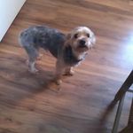 Courtney paige Goodman - @courtneypaigegoodman - Instagram
