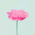 Paige Grayson - @paige_grays421 - Instagram