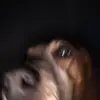 Tik Toker - @paigeiguess - TikTok