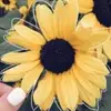 paigehester93 - @paigehester93 - TikTok