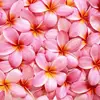 Paige - @paige.houle - TikTok