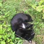 Paige Keith - @paige.keith_bluewolf2007 - Instagram