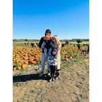 Paige Kitchen - @mrspaigekitchen - Instagram
