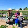 paiges_kitchen_ - @paiges_kitchen_ - TikTok