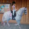 starstable.paigemajo - @starstable.paigemajorwav - TikTok