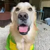Page and Happy - @paige_mcdaniel - TikTok
