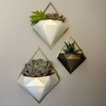 Paige McDaniel - @paiges_prototypes - Instagram