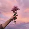 paigemize987 - @paigemize987 - TikTok