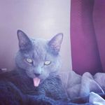 Emily Paige Nygaard - @emilynygaard87 - Instagram