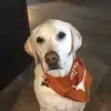 paigeproctor93 - @paigeproctor93 - TikTok