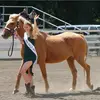 Paige - @paige..quick - TikTok