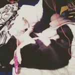 Cheyanne Paige Ritchie - @paigeritchie233 - Instagram