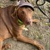 Paige JoAnn Robillard - Facebook