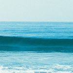 Paige Rubenstein - @realtormanhattanbeach - Instagram