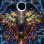 Paige Seitz - @lupus.ad.astra - Instagram