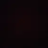 lilly - @paigesettles5 - TikTok