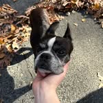 Paige Simko - @paigesimko_ - Instagram