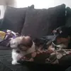 Paige.sprinkle.love - @paige.spinkle.love - TikTok