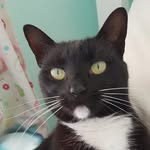@sprinkleflies_paige - Instagram