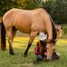 Paige Stepp - Facebook