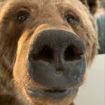 Paige Stepp - @_bingo_bongo_bango_ - Instagram