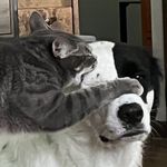 Paige Terwilliger - @paidgie - Instagram