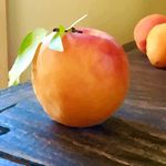 Paige Nebeker Thomason - @paigethomason - Instagram