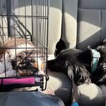 Paijjjj - @paige_thomason_2003 - Instagram