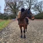 𝓟𝓪𝓲𝓰𝓮 𝓦𝓲𝓵𝓵𝓲𝓪𝓶𝓼𝓸𝓷 - @pw.showing - Instagram