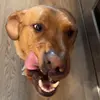 wtf - @paigewolfee - TikTok