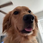 Paisley Mitchell - @paisleymae_2 - Instagram