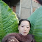 Paj Her - Facebook