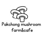 @pakchong_mushroomfarmcafe - Instagram