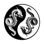 @pak.kung.fu - Instagram