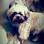 @pak_kung - Instagram