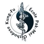Pak Mei Kung Fu Courbevoie - @pakmeicourbevoie - Instagram