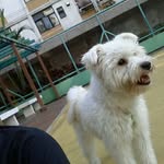 MARK LIN - @paklinglin - Instagram