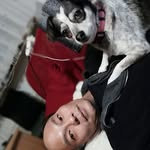 Pak Tsui - @pak.tsui.7 - Instagram