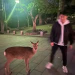 LÖ PÂK YIÛ - @pakyiu_217 - Instagram
